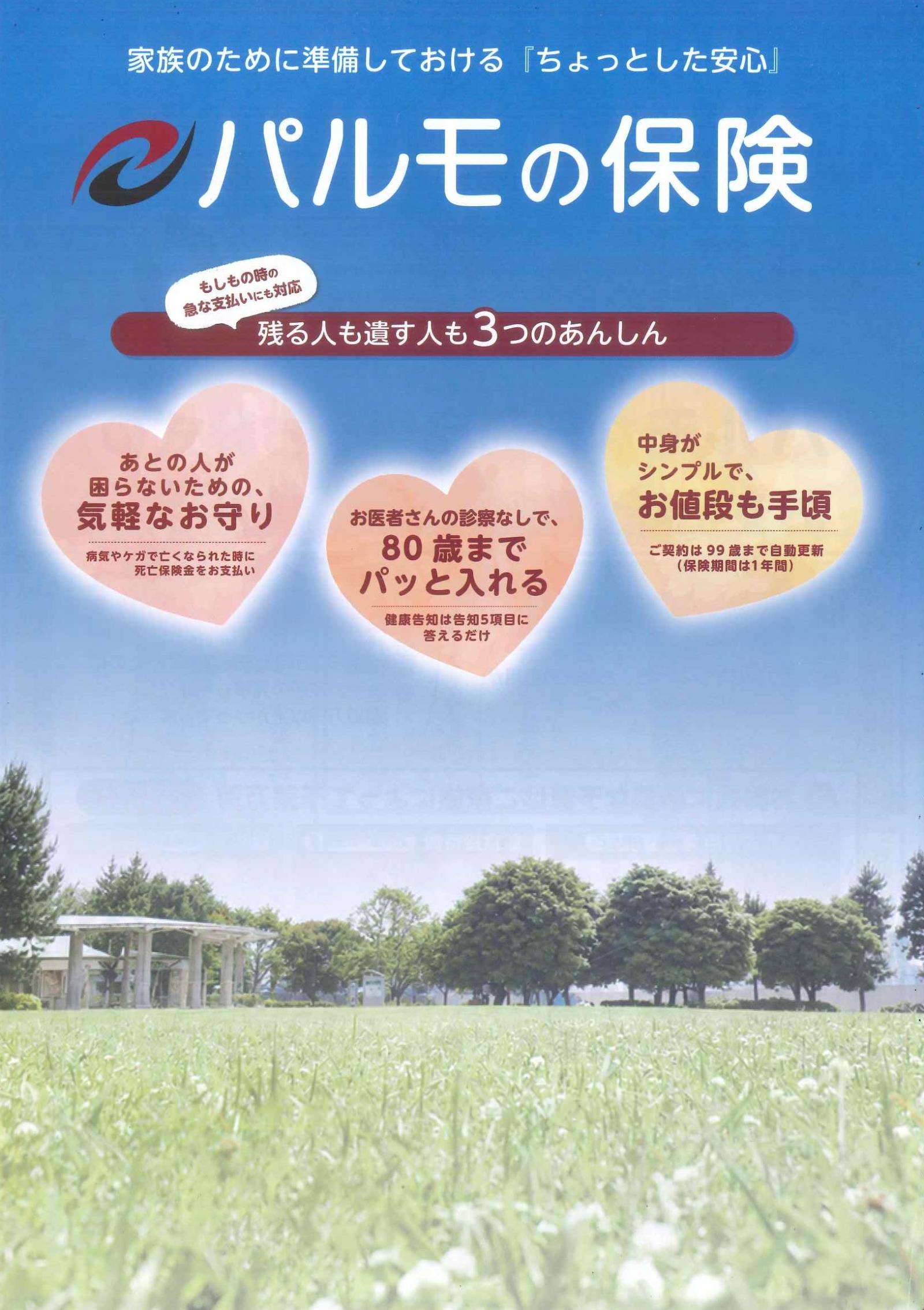 パルモの保険Ⅰのイメージ