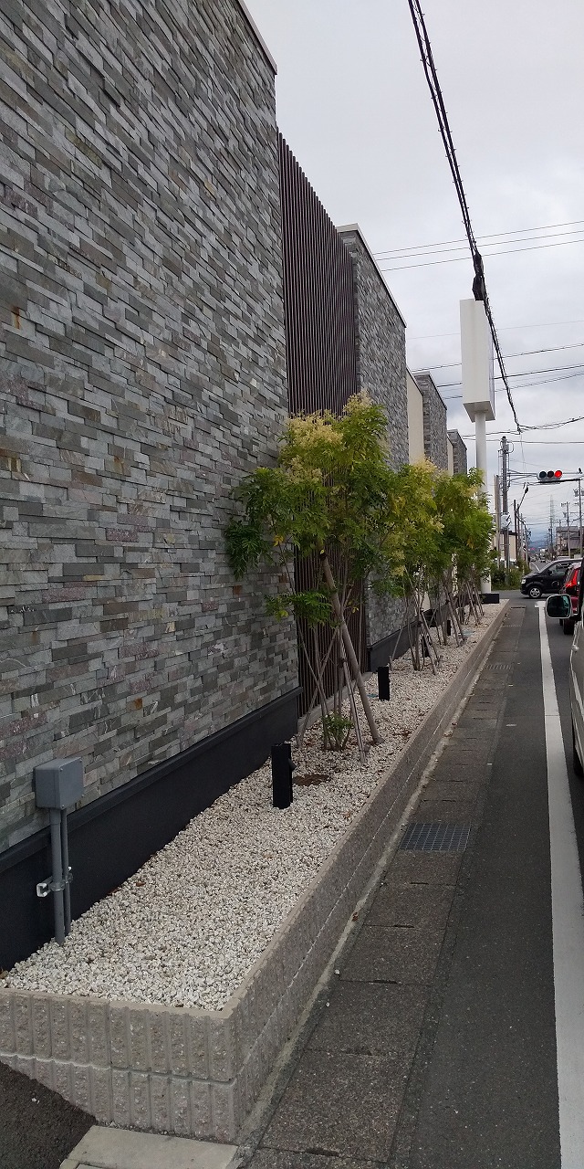 植木剪定致しましたのイメージ