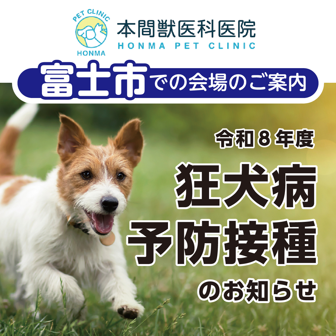 富士市で狂犬病予防接種のイメージ